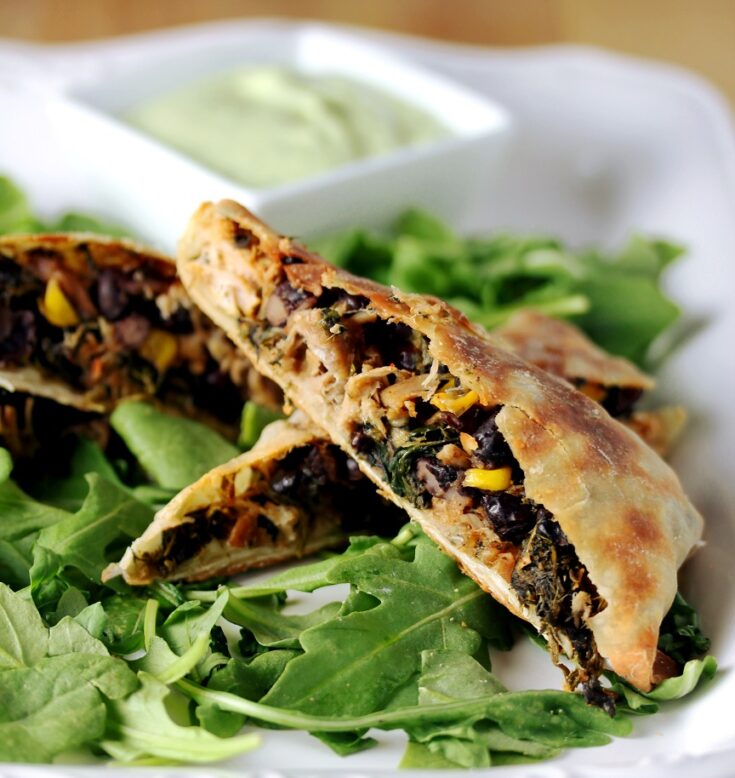 Southwestern Pulled Pork Egg Rolls with Avocado Cream Sauce