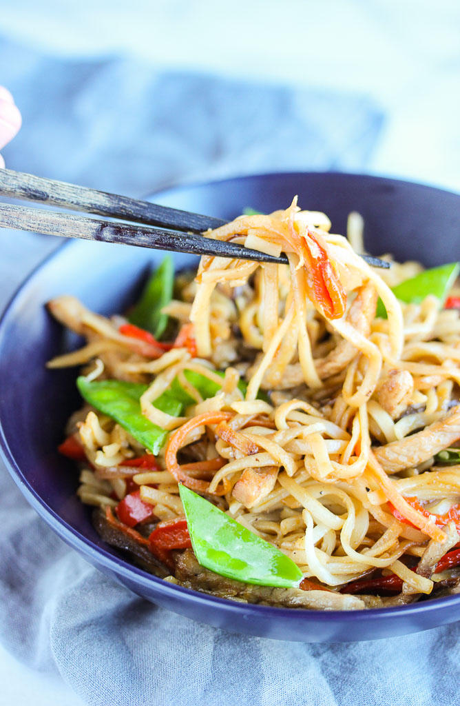 Pork Udon Noodle Stir Fry